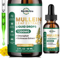 ReviNutra Mullein Drops for Lungs – 1200mg Mullein Leaf Liquid (2 fl oz)
