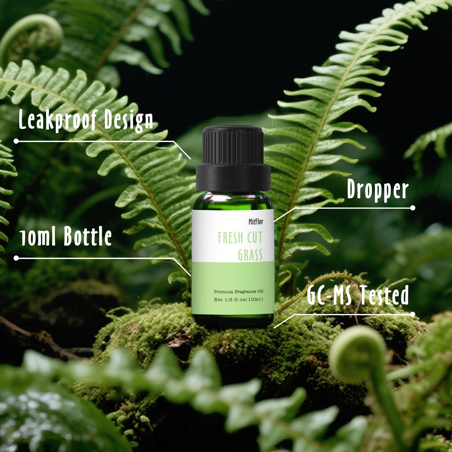 MitFlor Cologne Essential Oils Set – 6x10ml Diffuser Fragrance Oils Gift