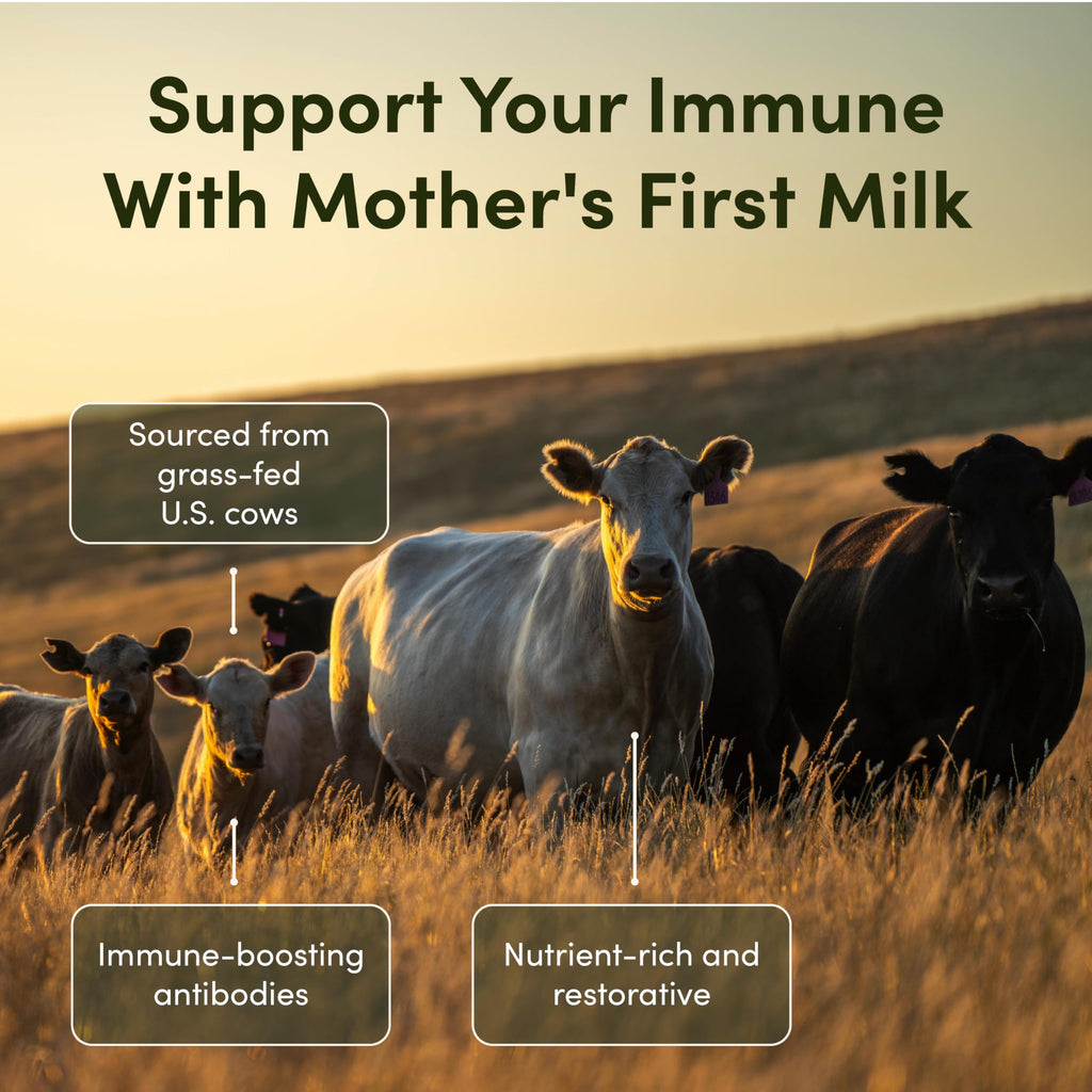 RHEASILVIA Rhea Bovine Colostrum Capsules for Women | Gut Health, Immune Support, Digestive Wellness