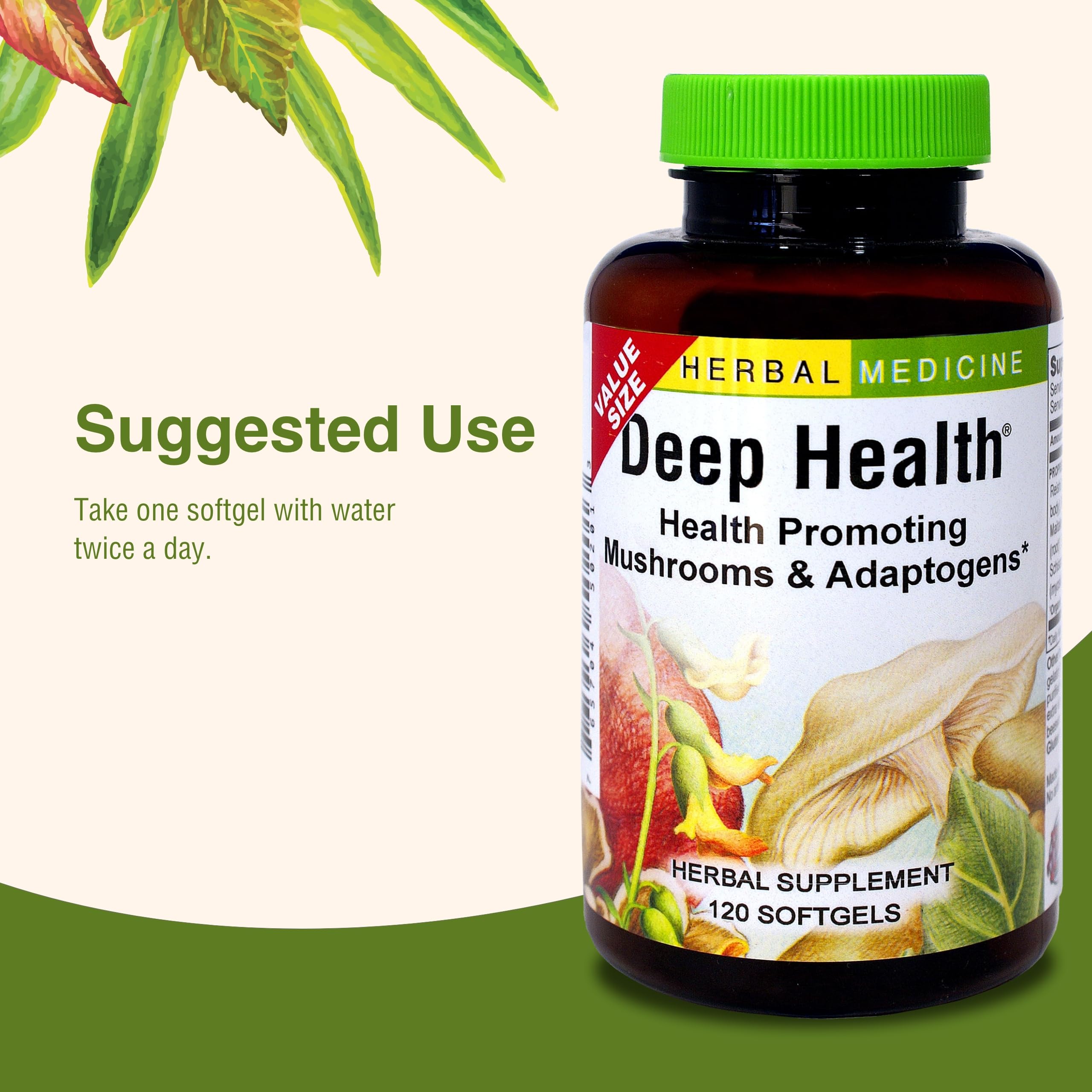 Herbs Etc. Deep Health – Daily Use Adaptogen Supplement | Immune Health & Energy | 120 Softgels