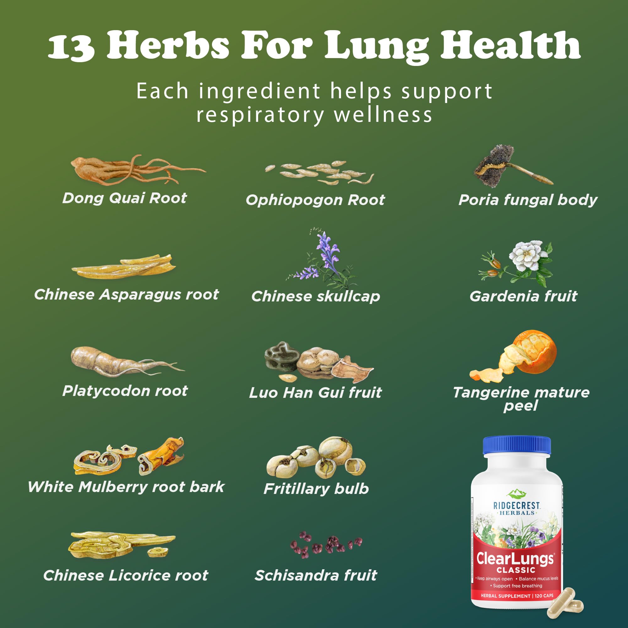 Clear Lungs Classic Red Label by RidgeCrest Herbals | 120 Capsules