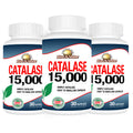 Rise-N-Shine Catalase Supplement 15,000 – Hair Health & Antioxidant Enzyme – 90 Capsules x 3 Bottles (90-Day Supply)