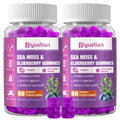 Riyuetian Sea Moss & Elderberry Gummies – Blueberry, 120 Count (Pack of 2) – Vegan