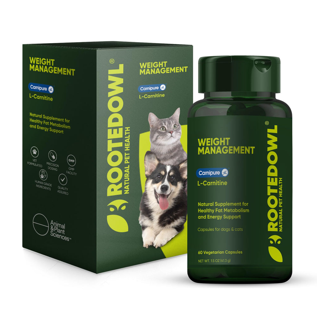 Rooted Owl Metabolism Support - L-Carnitine Supplement for Dogs & Cats to Support Healthy Weight - 60 Count