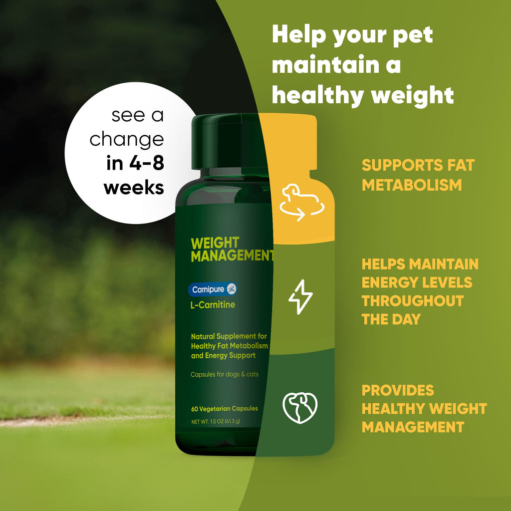 Rooted Owl Metabolism Support - L-Carnitine Supplement for Dogs & Cats to Support Healthy Weight - 60 Count