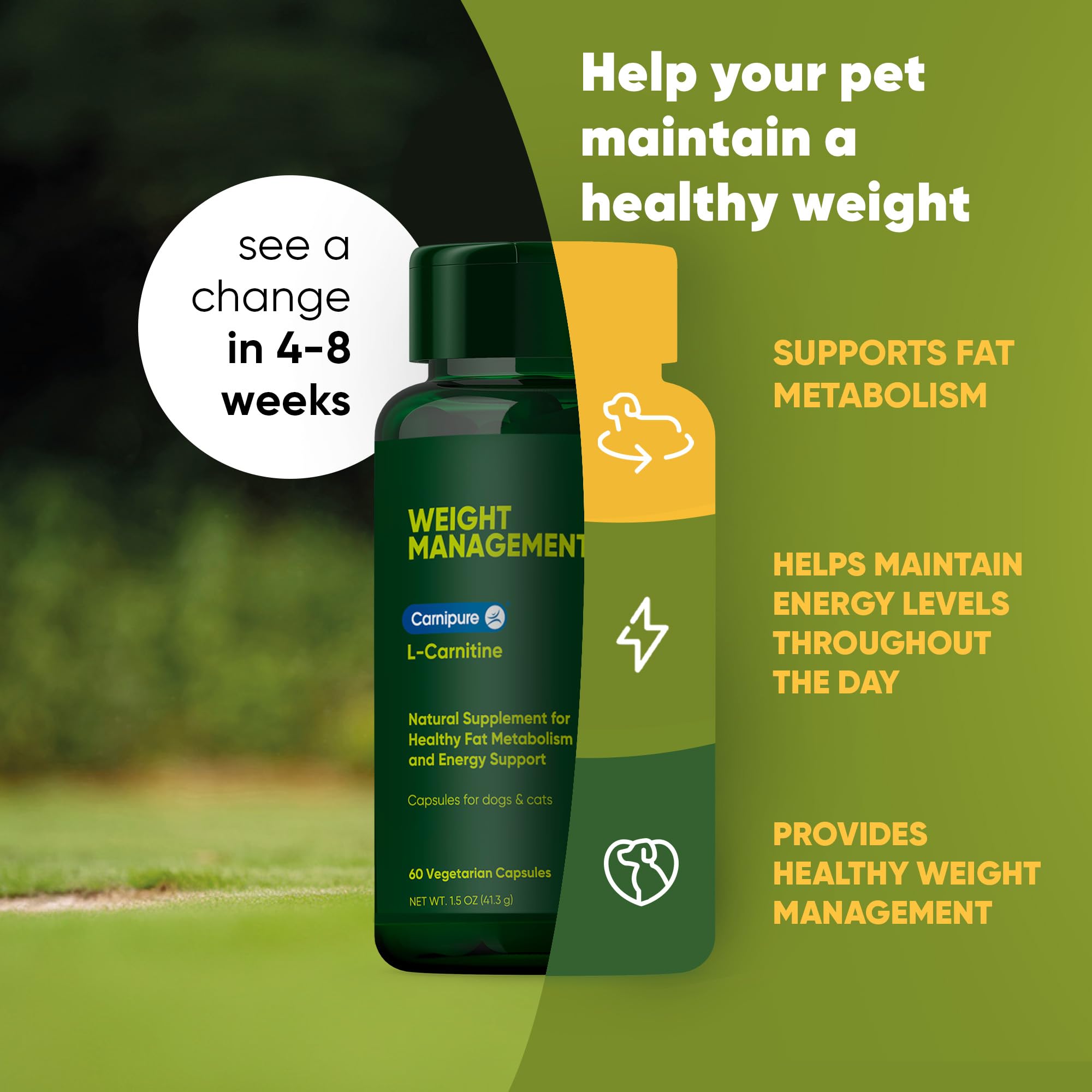 Rooted Owl Metabolism Support - L-Carnitine Supplement for Dogs & Cats to Support Healthy Weight - 60 Count