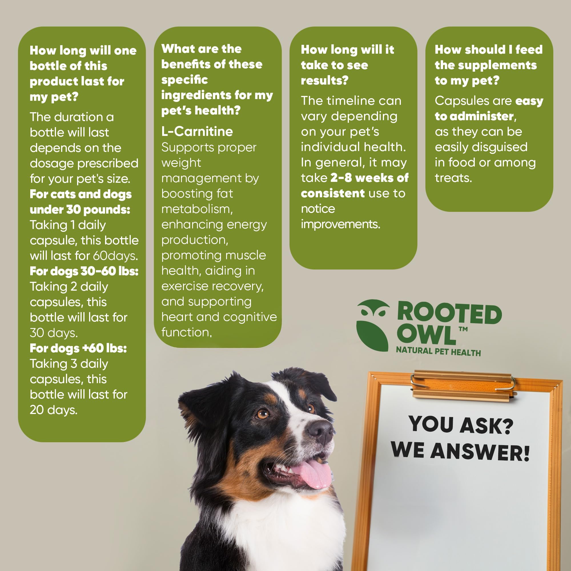 Rooted Owl Metabolism Support - L-Carnitine Supplement for Dogs & Cats to Support Healthy Weight - 60 Count