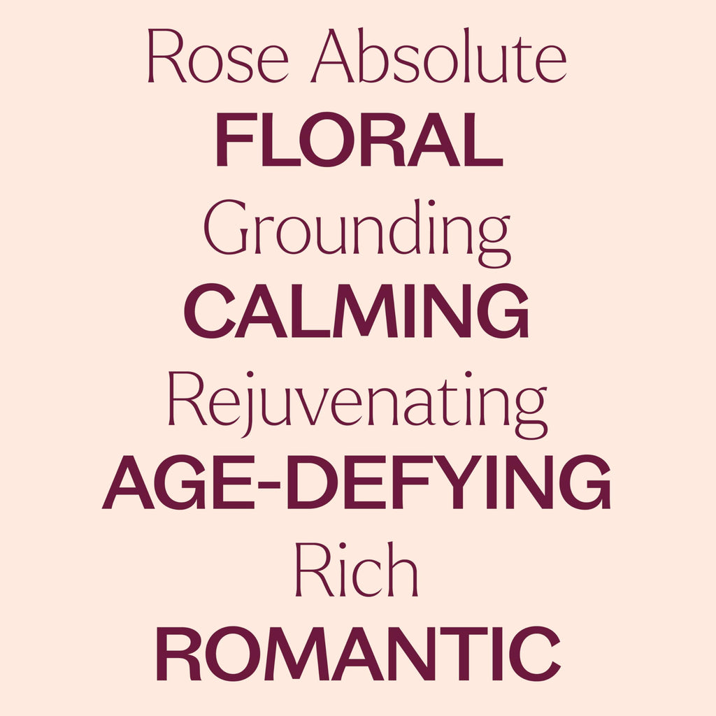 Rose Absolute Essential Oil 5 mL – Plant Therapy | 100% Pure