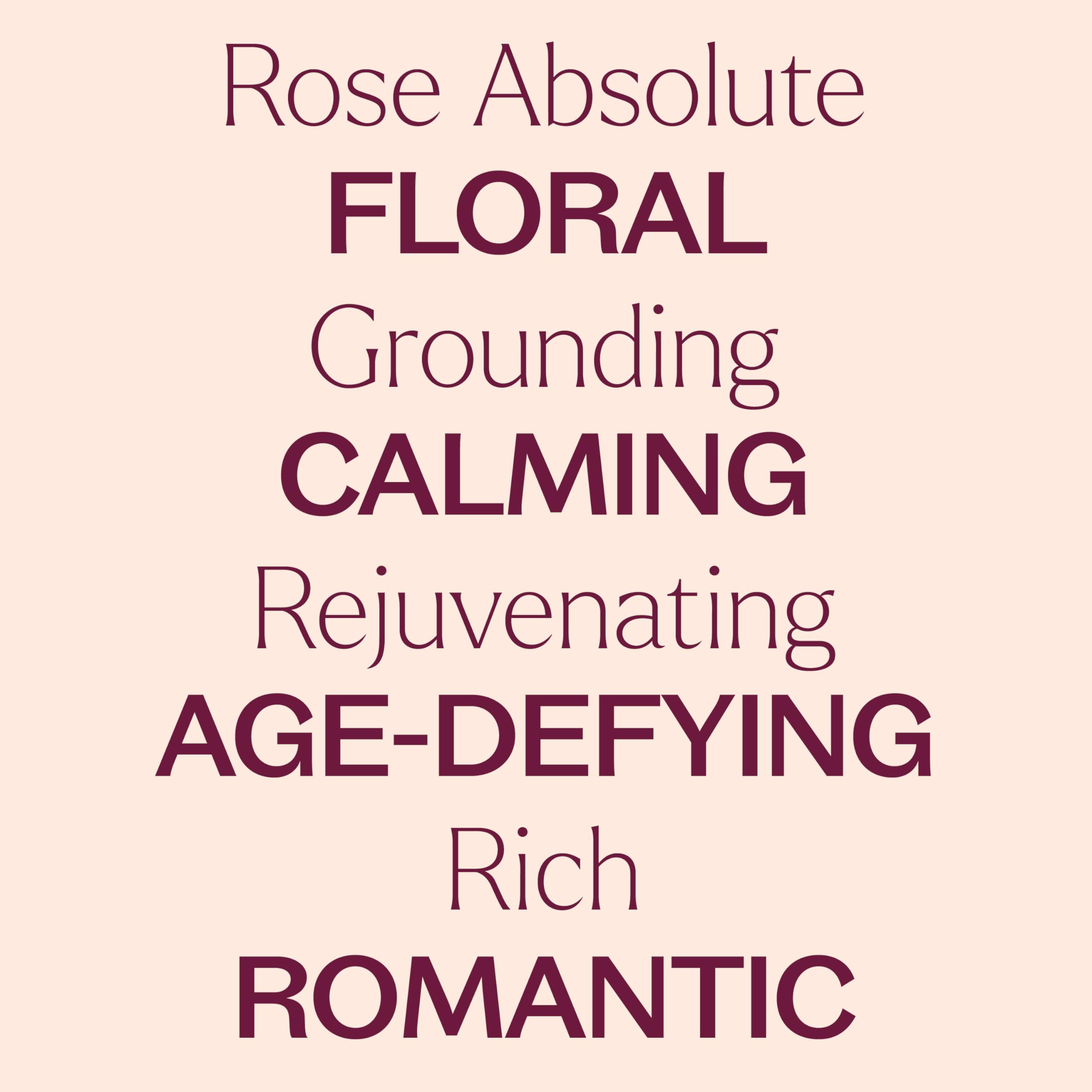 Rose Absolute Essential Oil 5 mL – Plant Therapy | 100% Pure