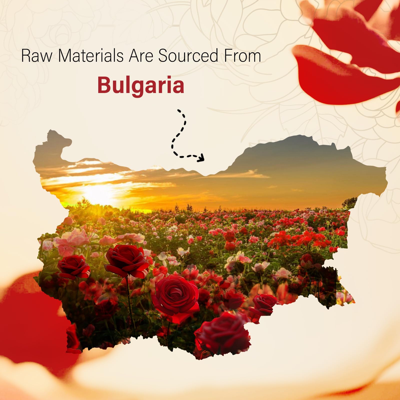 Rose Essential Oil 10ml – Pure Organic Bulgarian Rose for Diffuser
