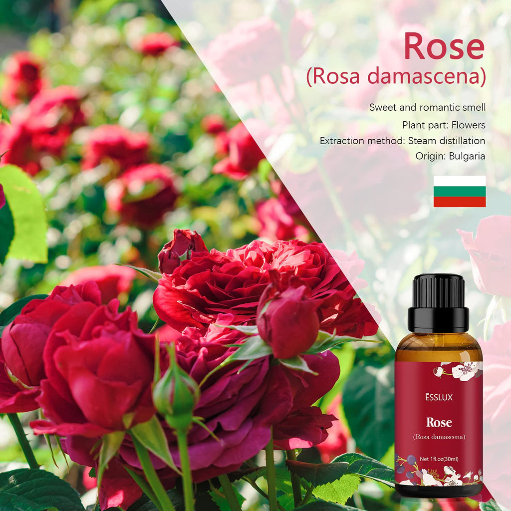 Rose Essential Oil | Esslux Aromatherapy – 30 ml (Diffuser, Massage, Soap, Candles)