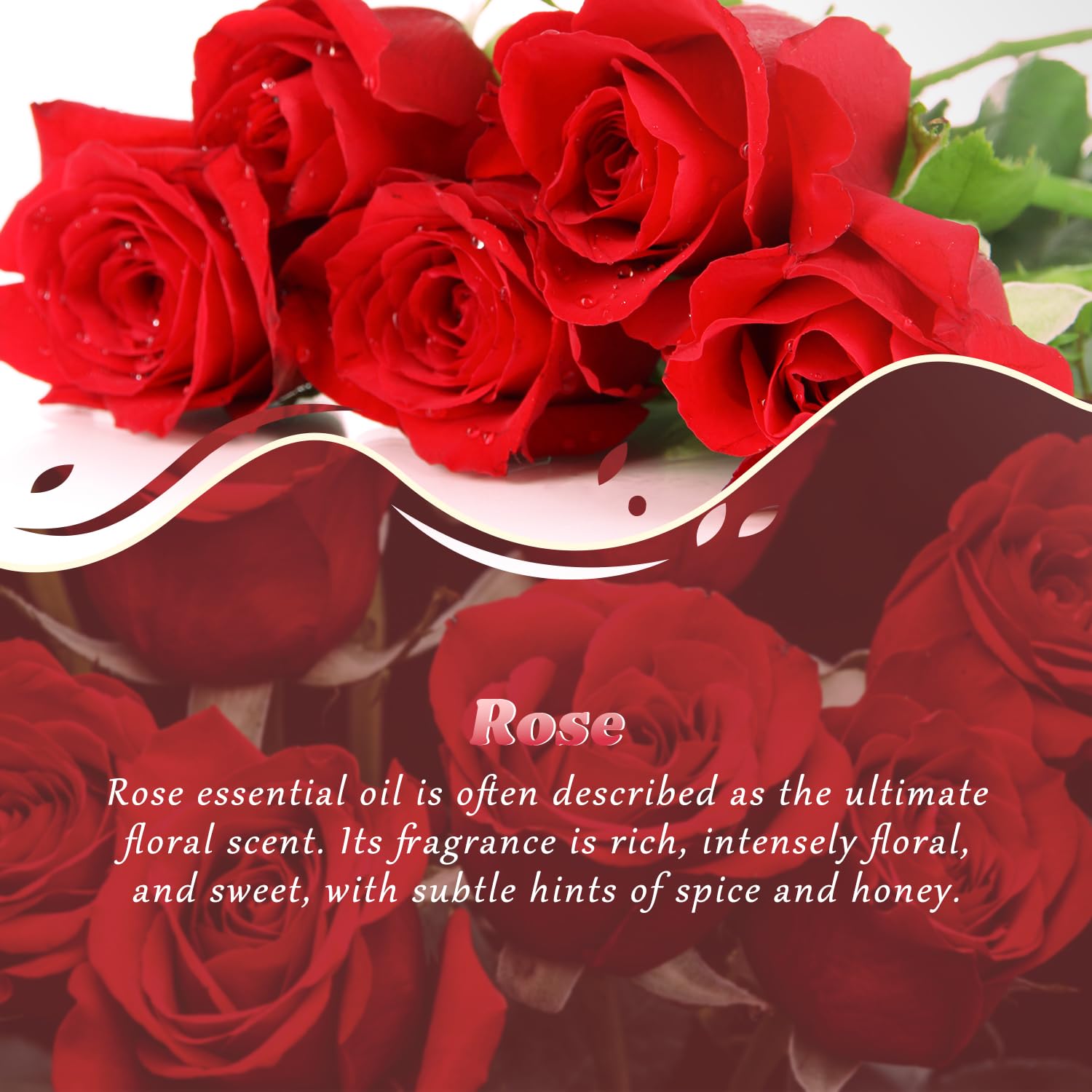 Rose Essential Oil 4 Oz (120ml) - Pure & Natural Fragrance for Diffusers, Aromatherapy, Massage