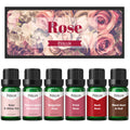 Rose Fragrance Oil Set | ESSLUX Floral Oils for Diffuser & Candles
