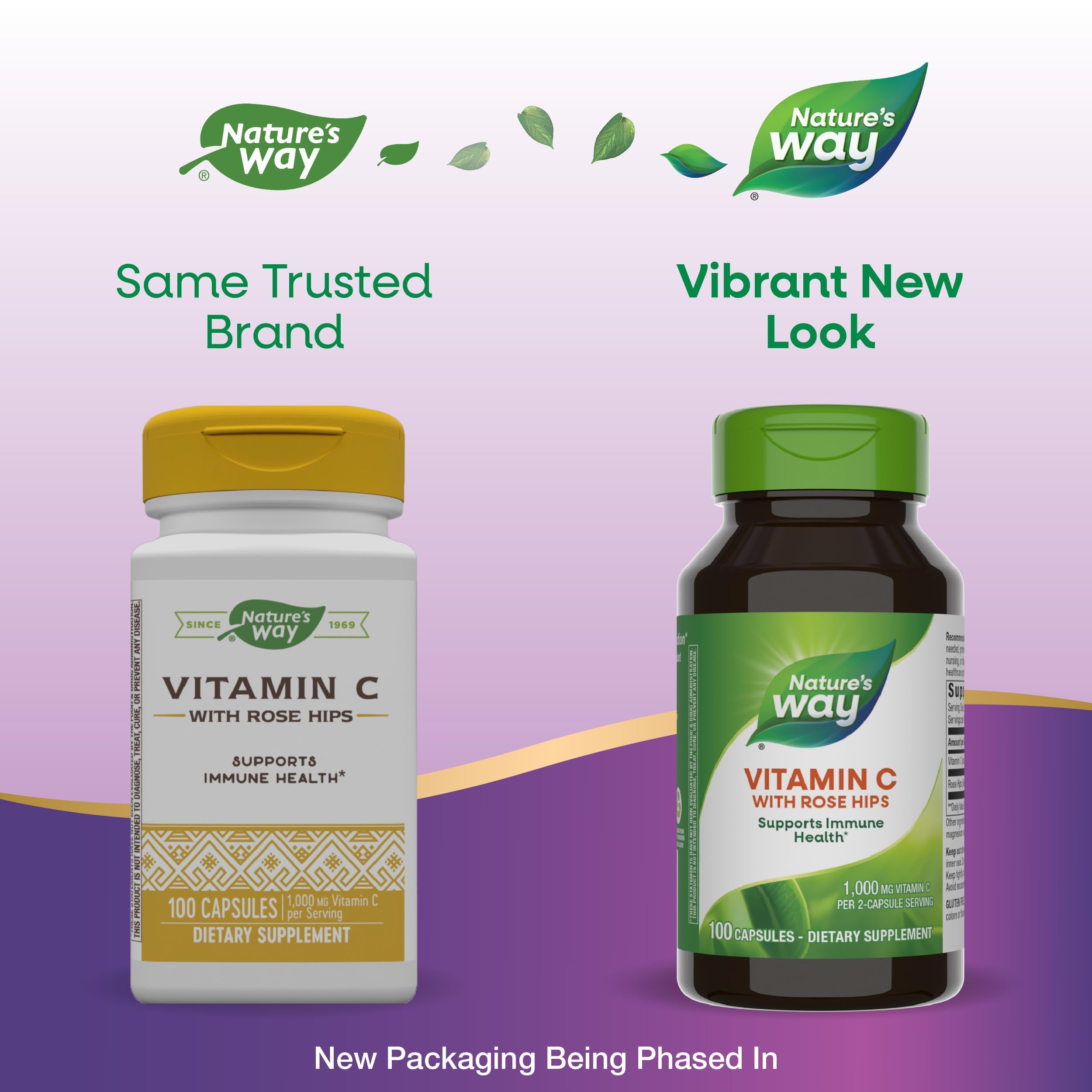 Nature's Way Vitamin C with Rose Hips - 1000 mg Immune Support (2-Pack)
