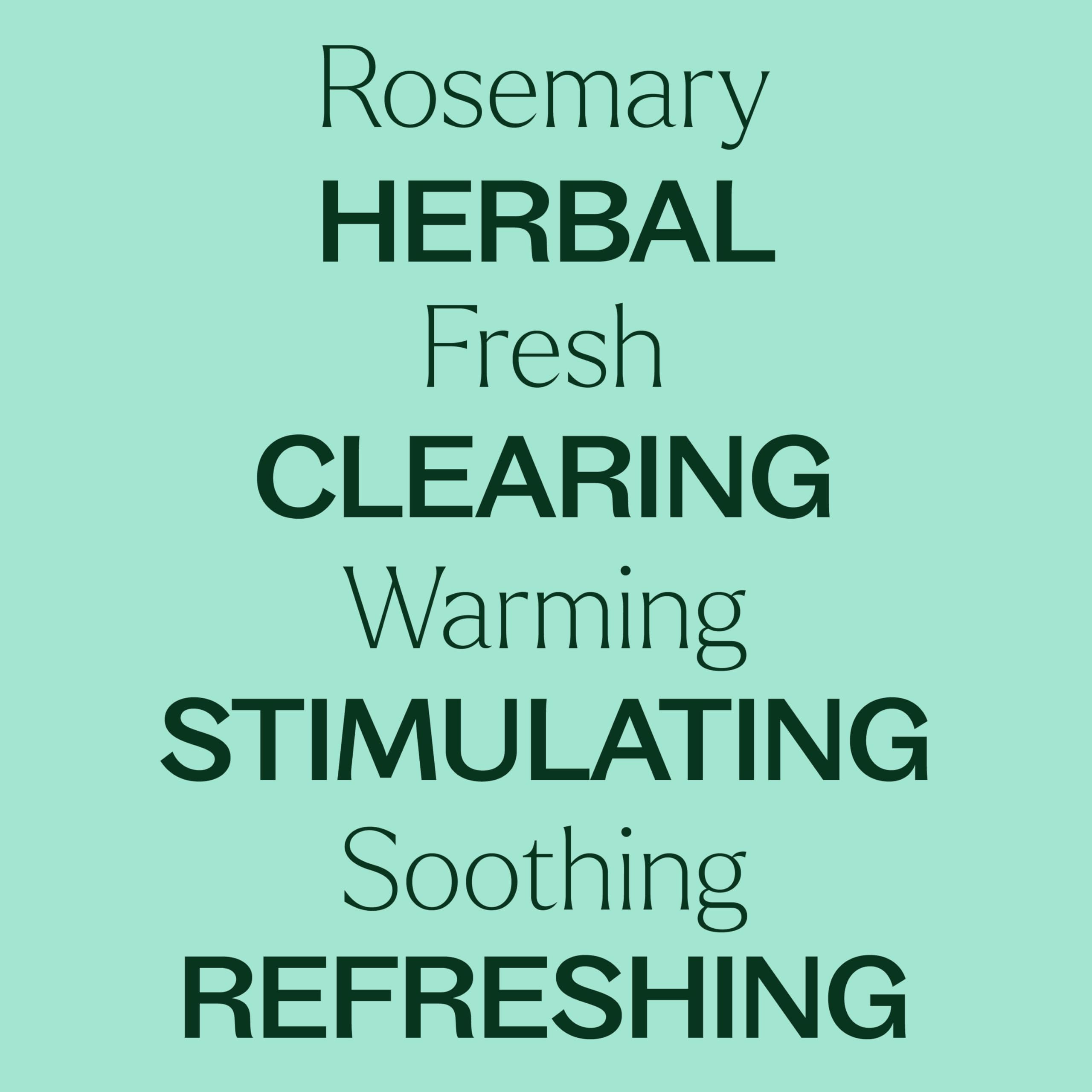 Plant Therapy Rosemary Essential Oil 100% Pure - USDA Organic, 10 mL