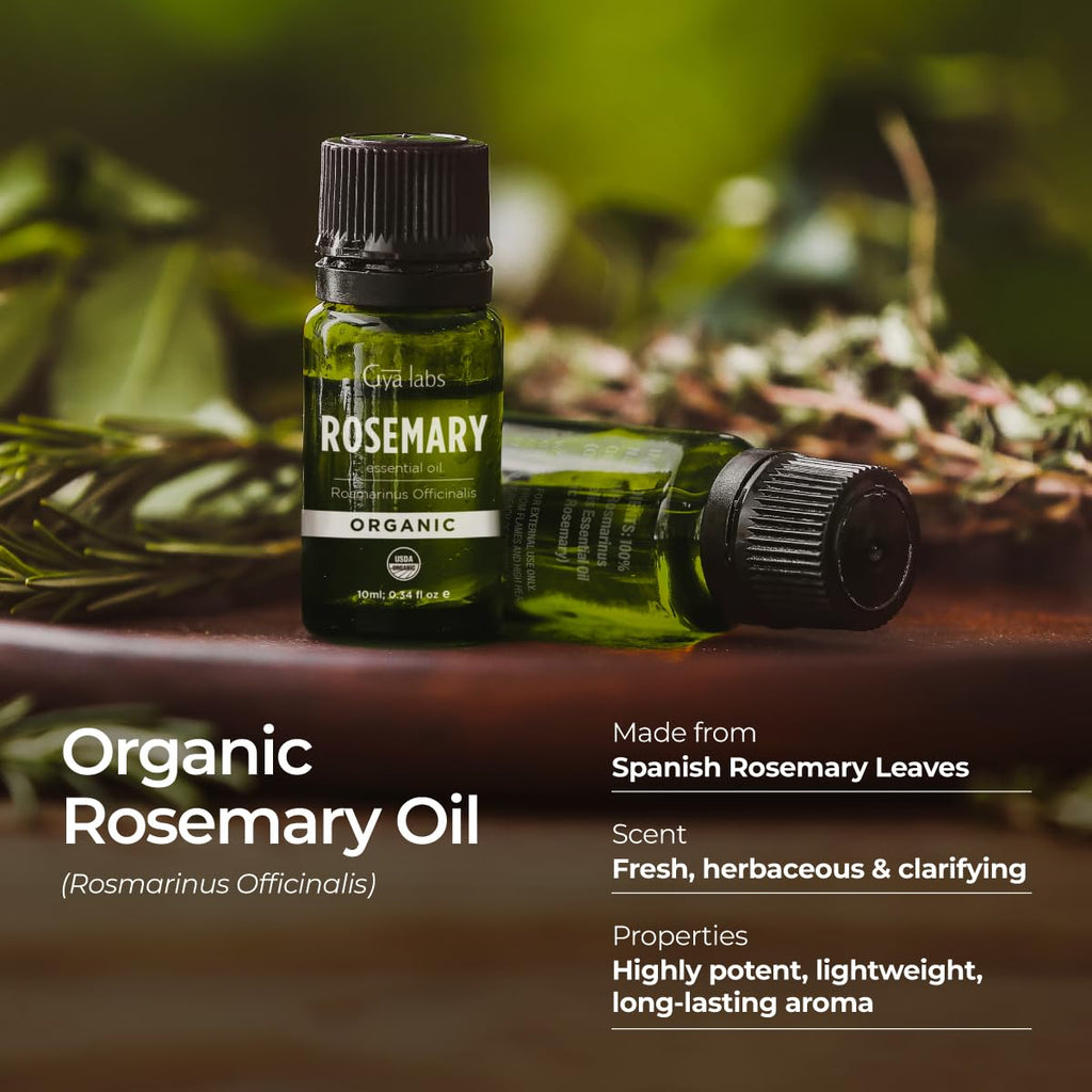 Gya Labs Organic Rosemary Essential Oil 0.34 Fl Oz - Hair, Skin, Diffuser