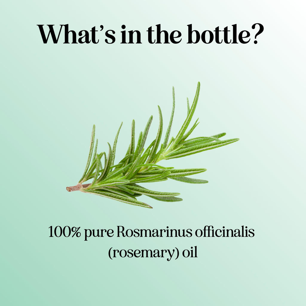 Pure Rosemary Oil for Hair, Skin & Nails | 100% Pure & Undiluted (1 fl oz)