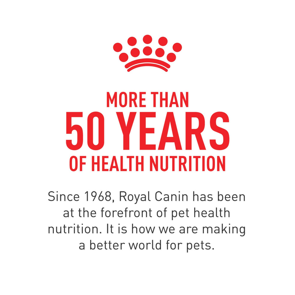 Royal Canin Skin & Coat Soft Chews for Adult Dogs – 60 Count