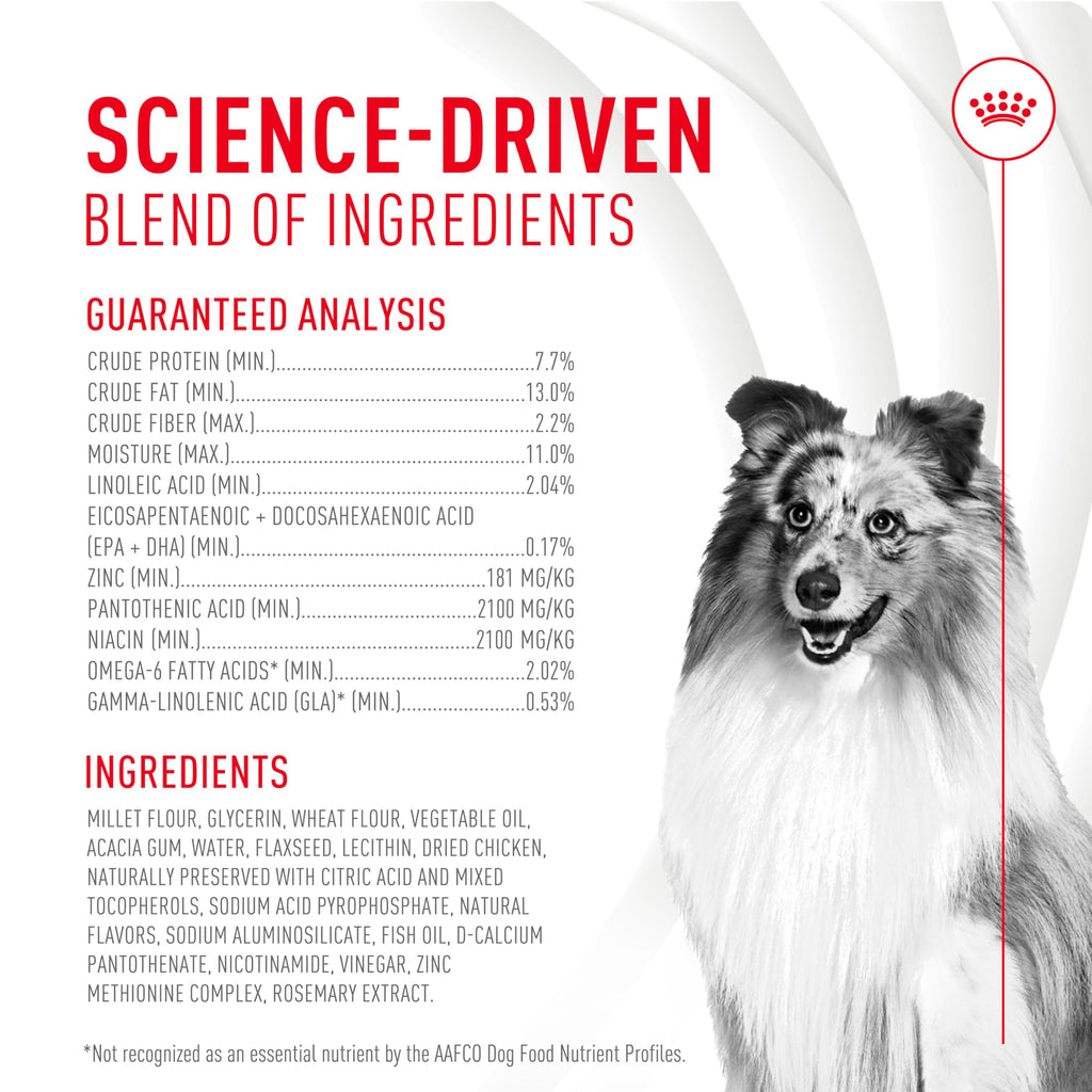Royal Canin Skin & Coat Soft Chews for Adult Dogs – 60 Count