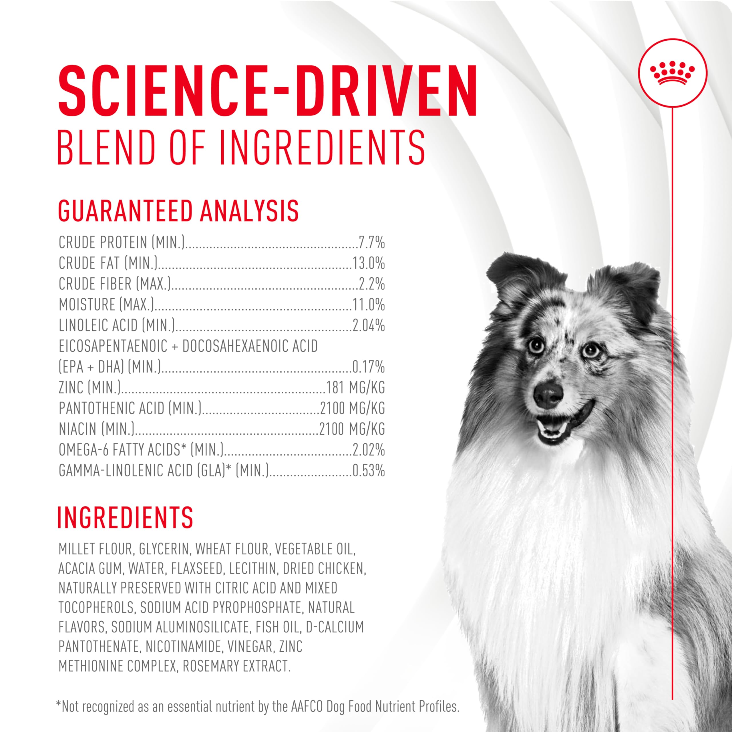 Royal Canin Skin & Coat Soft Chews for Adult Dogs – 60 Count