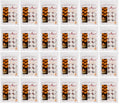 24 x Carlingford Nightlights 8Hrs 24X20 S
