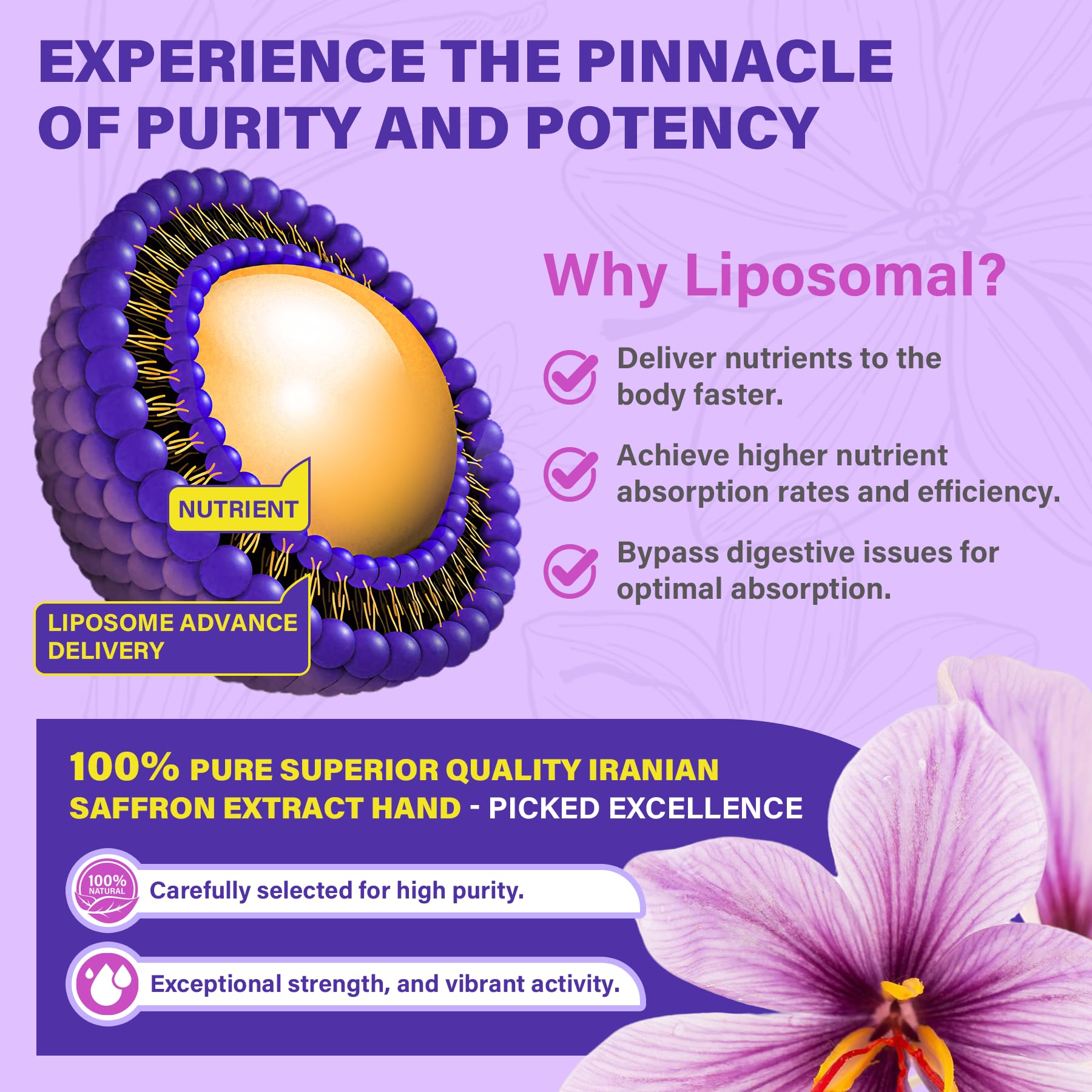 Saffron Supplements - 100mg Liposomal High Absorption | 100% Pure Saffron Extract + Magnesium Glycinate, Omega-3, Turmeric, Ashwagandha, B6, B12, D3 - 60 Softgels
