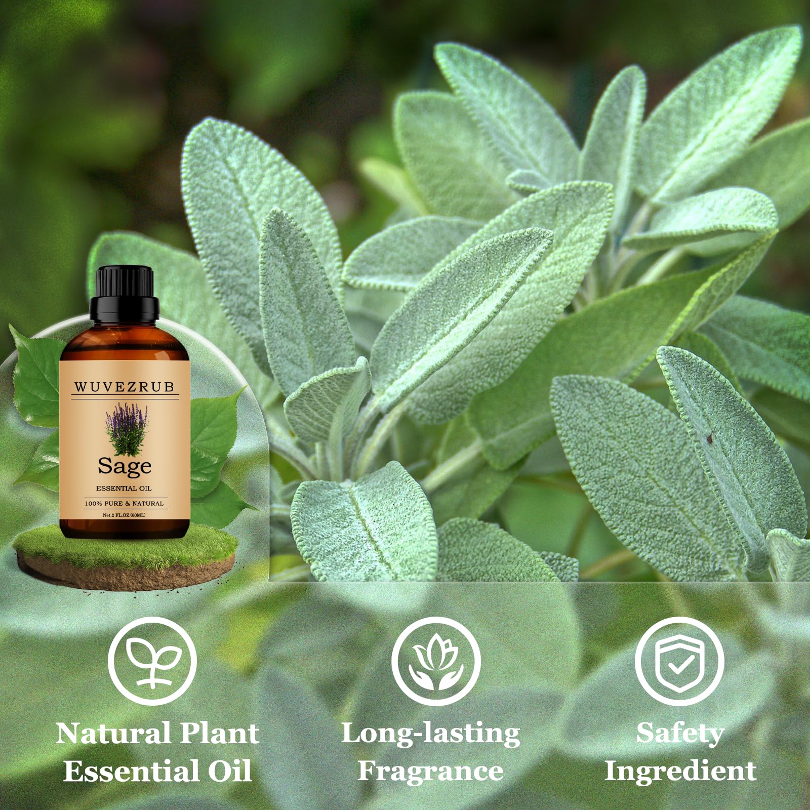 Wuvezrub Sage Essential Oil 60ml | Pure Sage for Aromatherapy & Diffusers