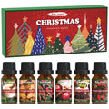 SALKING Christmas Fragrance Oils – Premium Essential Oil Gift Set