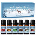 SALKING Winter Scented Oils Gift Set – Premium Fragrance Oils for Diffuser, Soap & Candles