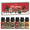 SALUBRITO Christmas Fragrance Oils Set - Winter Scents for Diffusers & Candles