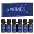 SALUBRITO Essential Oils Set – 6x10ml Wellness Aromatherapy