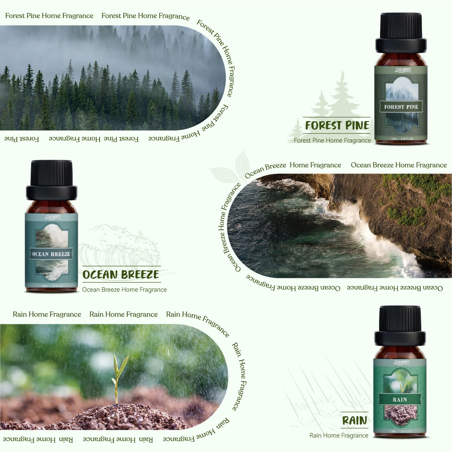 SALUBRITO Nature Fragrance Oils Set – Forest Pine, Ocean Breeze, Rain & Bamboo