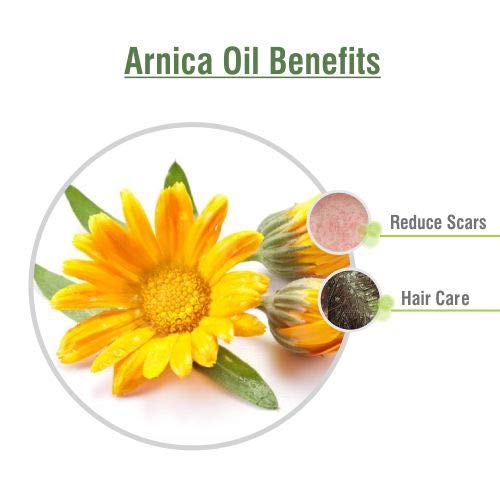 Arnica Essential Oil by Salvia – Amber Bottle, Cold-Pressed, 0.51 oz