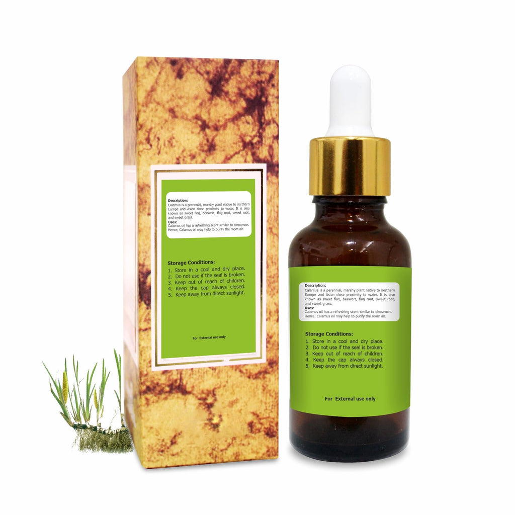 Salvia Calamus Oil (Acorus Calamus) – Therapeutic Essential Oil, 15ML | Steam Distilled