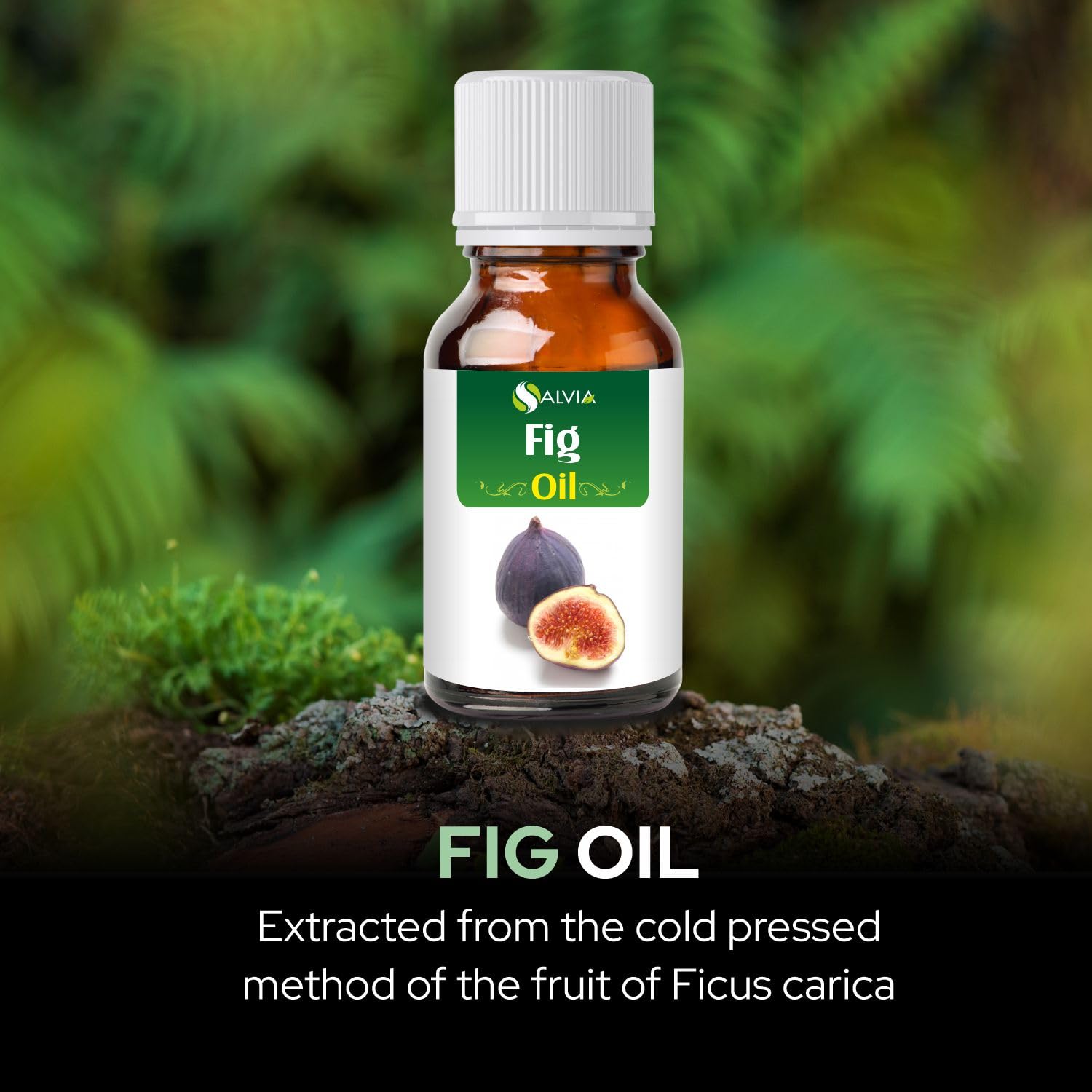 SALVIA Fig Oil Pure & Natural - 15 ml | Skin Care, Hair Care, Aromatherapy