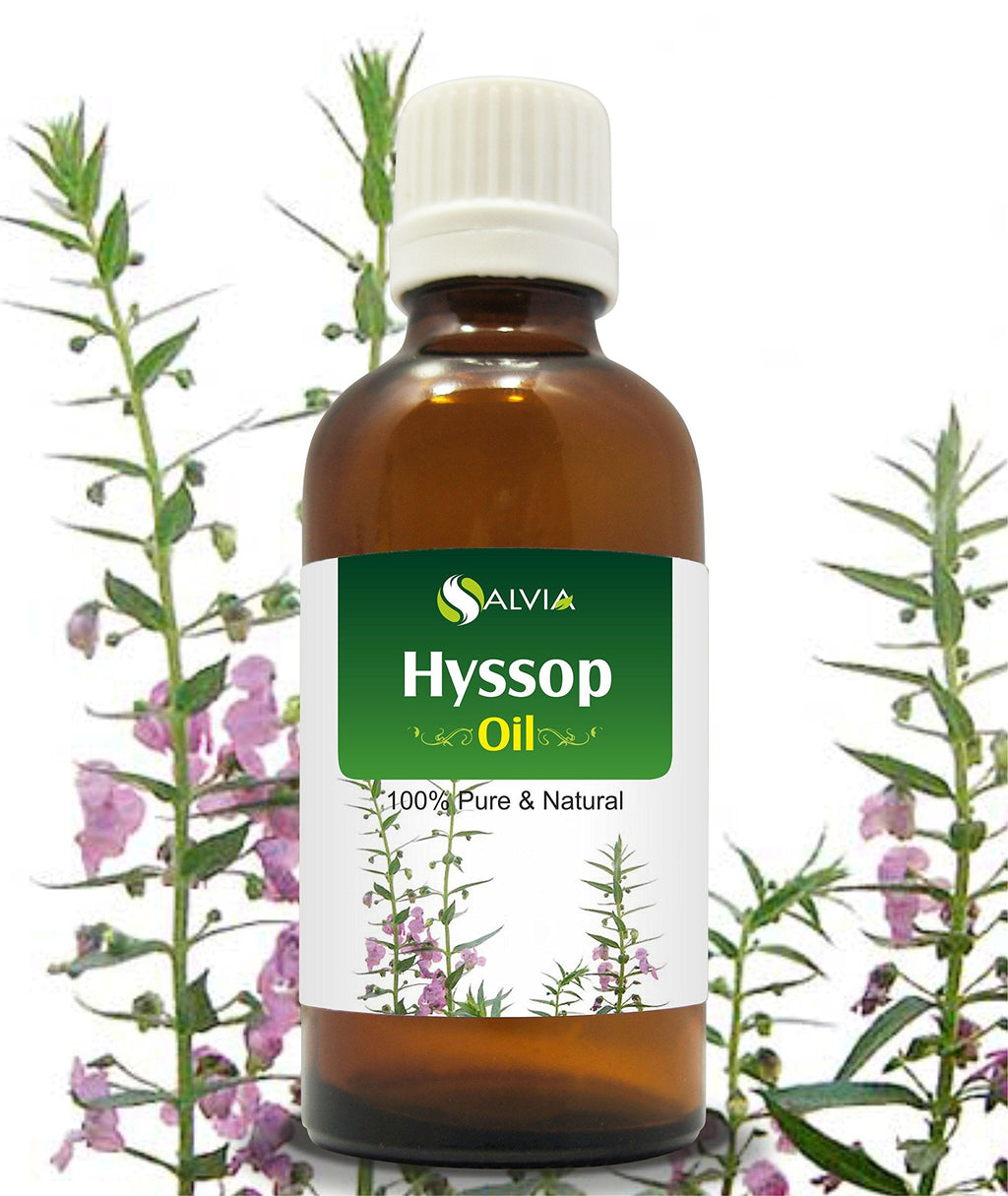Salvia Hyssop Oil (Hyssopus Officinalis) - 15ml | Pure Essential Oil