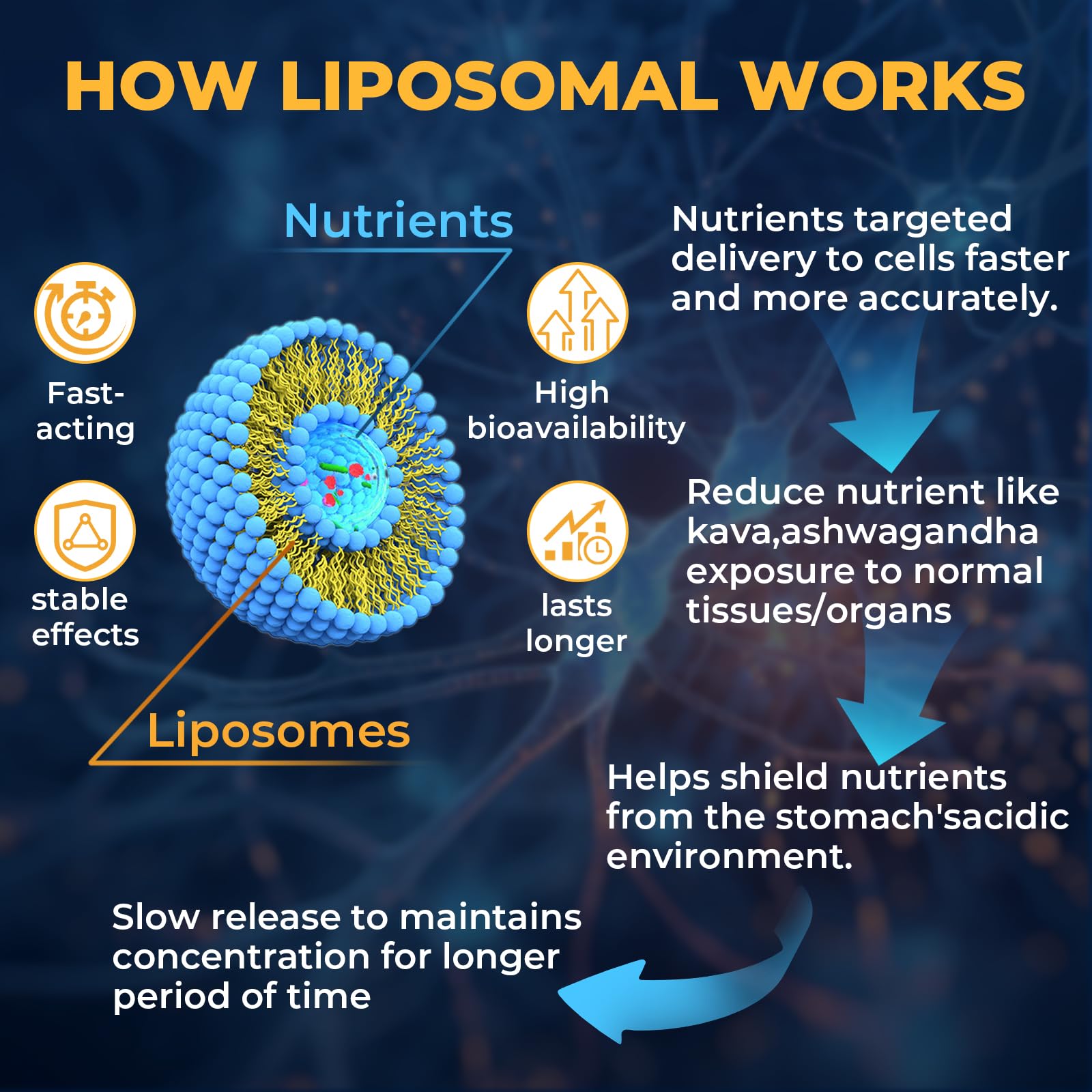 Samarogen Kava Kava Capsules – Liposomal 55% Kavalactones with Ashwagandha, Chamomile, Lemon Balm & Passionflower (60 Softgels)