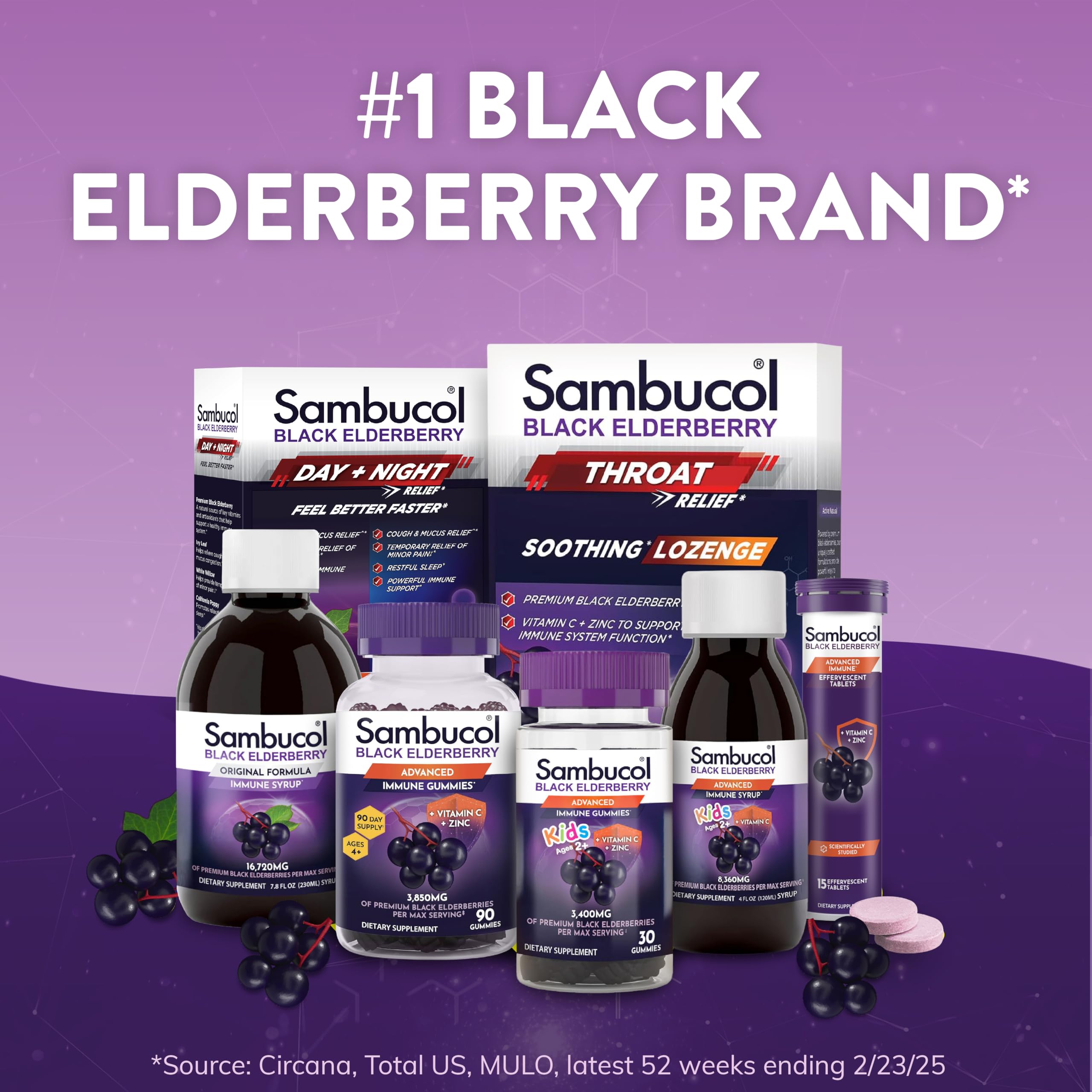 Sambucol Black Elderberry Gummies with Vitamin C & Zinc – 30 Count, 2 Pack