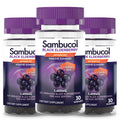 Sambucol Black Elderberry Gummies – Immune Support with Zinc & Vitamin C for Adults | 30 Count x 3-Pack