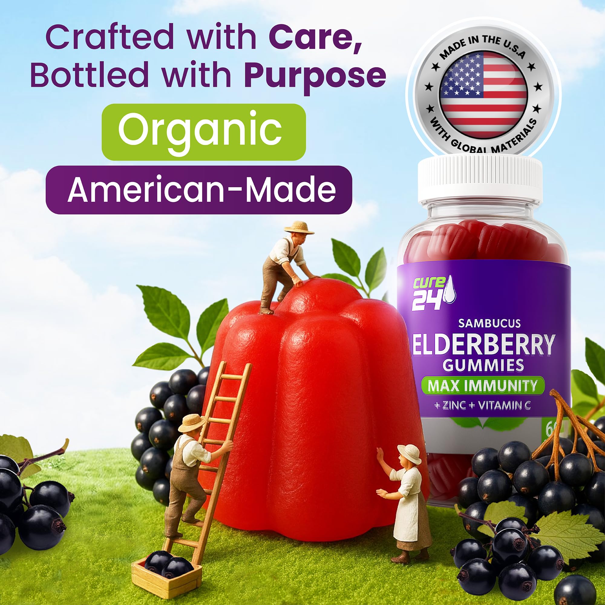 Sambucus Elderberry Gummies with Vitamin C & Zinc for Kids & Adults - 60 Gummies | Vegan, Non-GMO, Made in USA