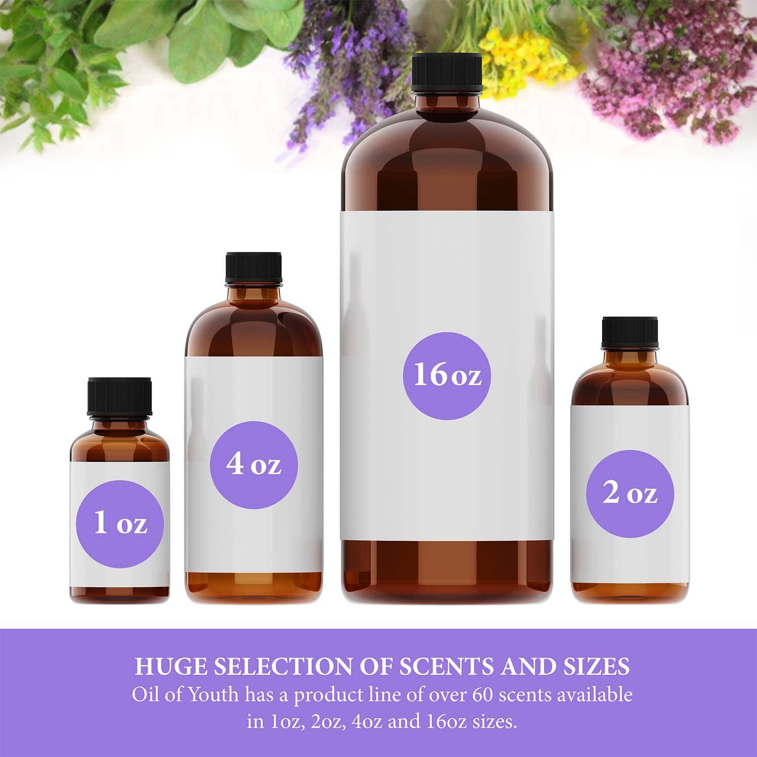 Oil of Youth Sandalwood Essential Oil - Therapeutic Grade, 4 fl oz
