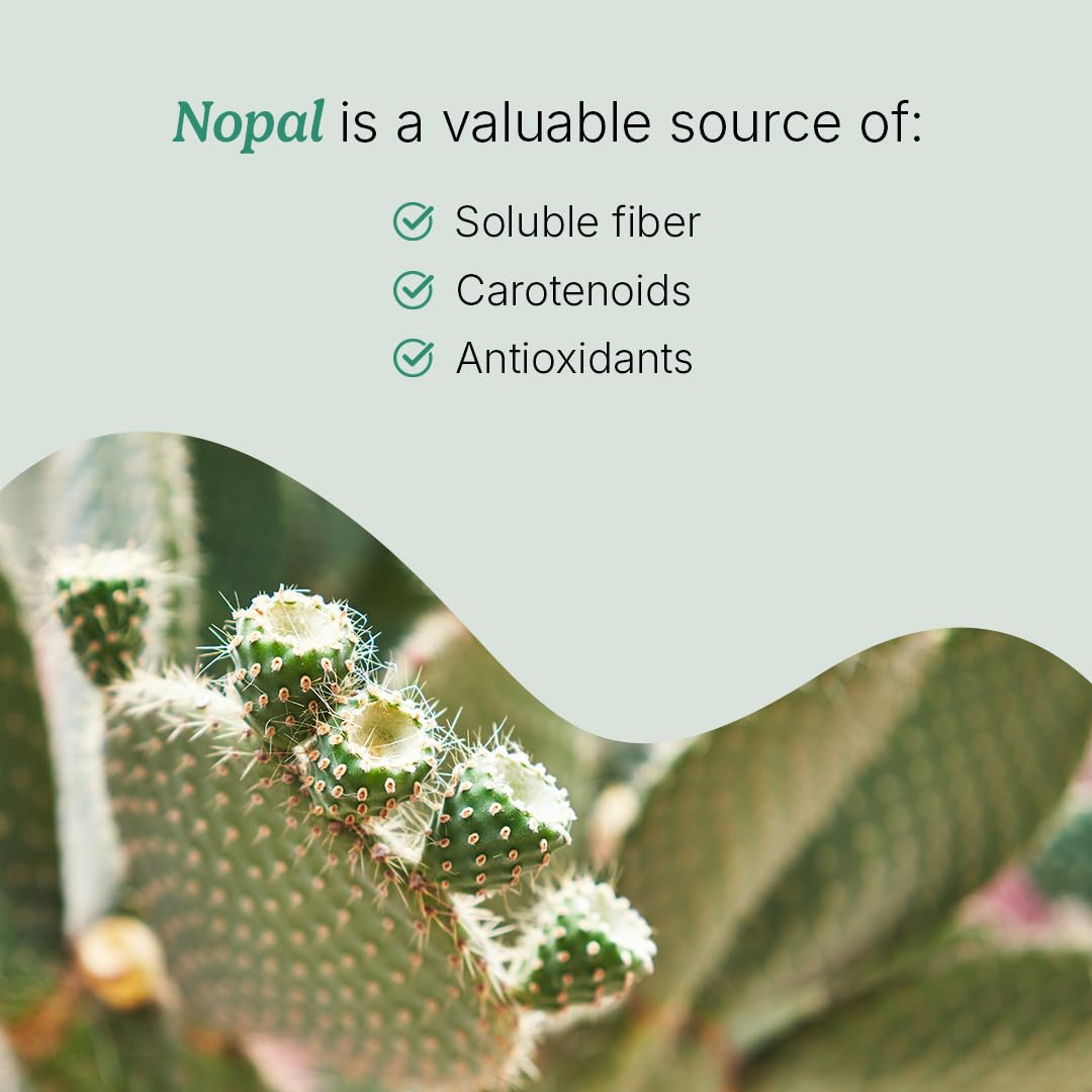 Santo Remedio Nopal Chia – Prickly Pear & Chia Powder, 120 Capsules