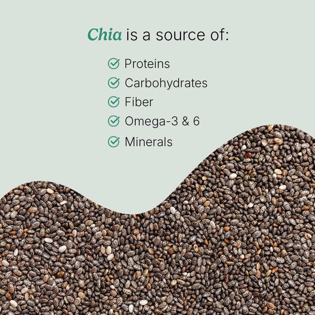 Santo Remedio Nopal Chia – Prickly Pear & Chia Powder, 120 Capsules