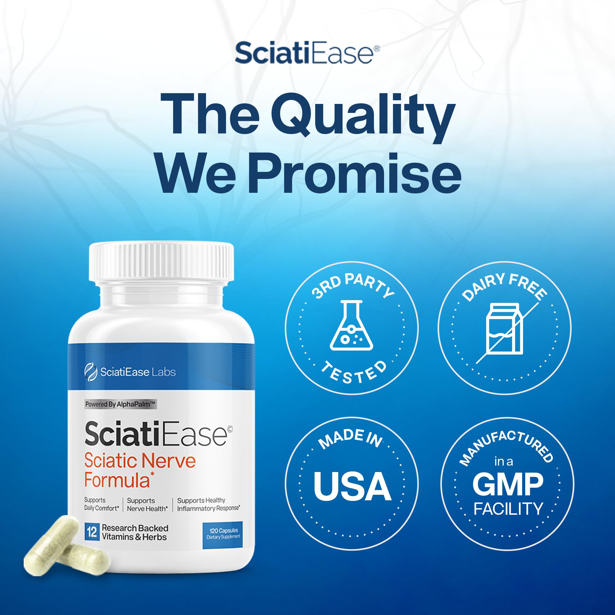 SciatiEase Sciatic Nerve Health Support Supplement – 3 Bottles with AlphaPalm, Pea, B Complex & 300mg Alpha Lipoic Acid