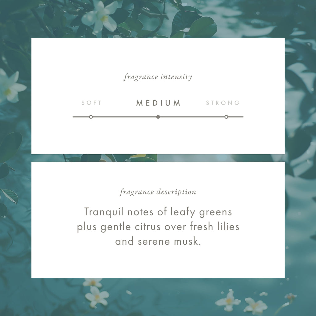 ScentAir Whisper Home Monthly Plug-in Refill – Tranquil Waters Fragrance Cartridge