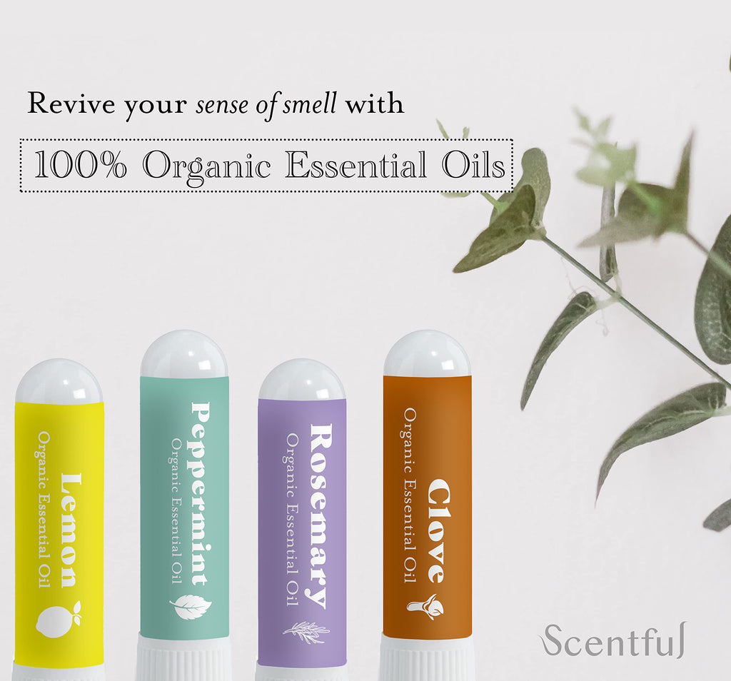 Scentful Smell Training Kit – Smell Retraining Therapy | Restore Sense of Smell and Taste | Made in USA with 4 Organic Essential Oils