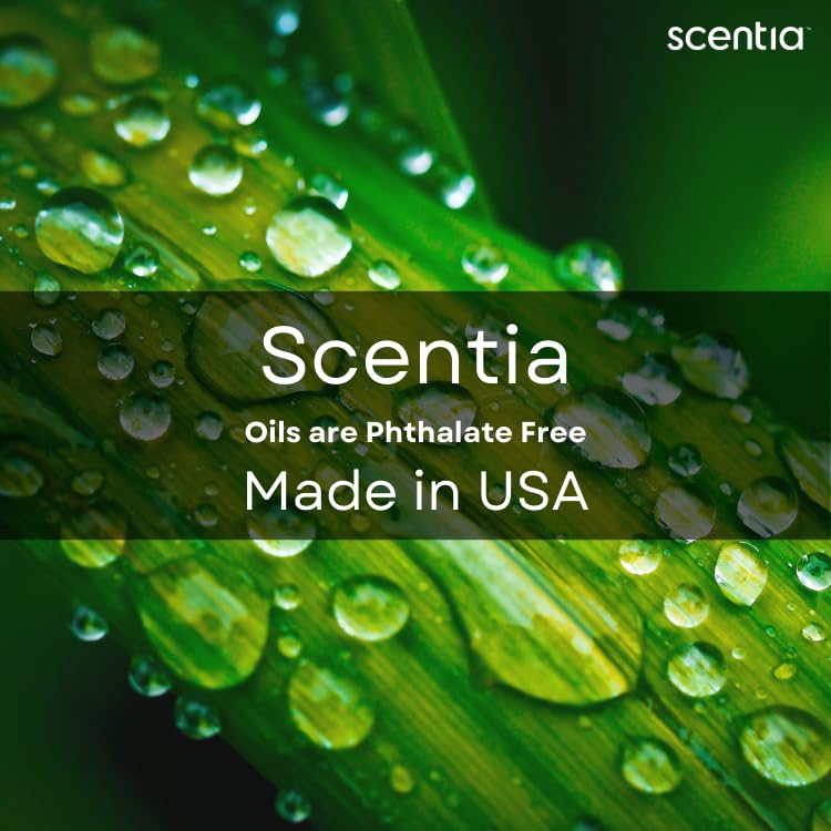 Scentia Autumn Spice Essential Oil 50ml - Pumpkin Spice Diffuser & Fall Decor