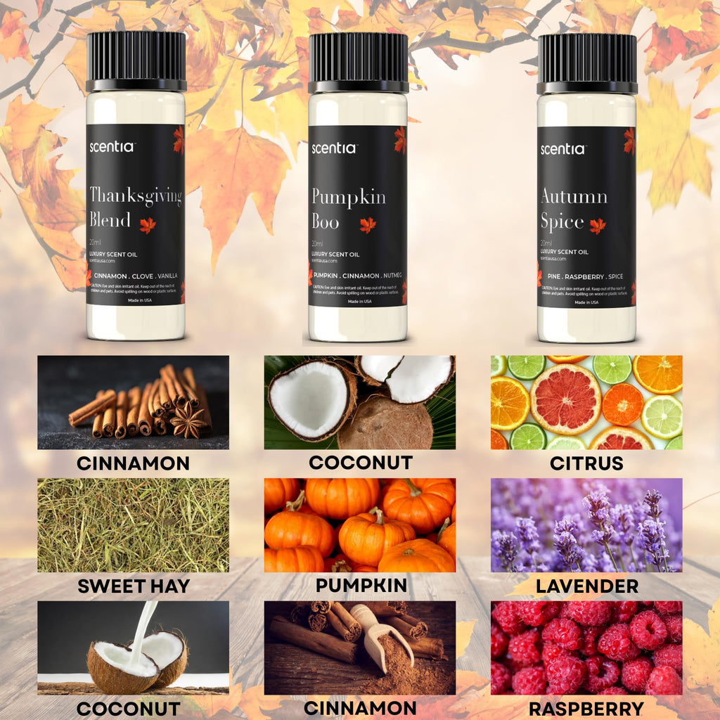 Scentia Fall Essential Oils Set – Autumn Spice, Thanksgiving Blend & Pumpkin Boo (20ml) for Diffuser, Candles & DIY | Perfect Fall Gift
