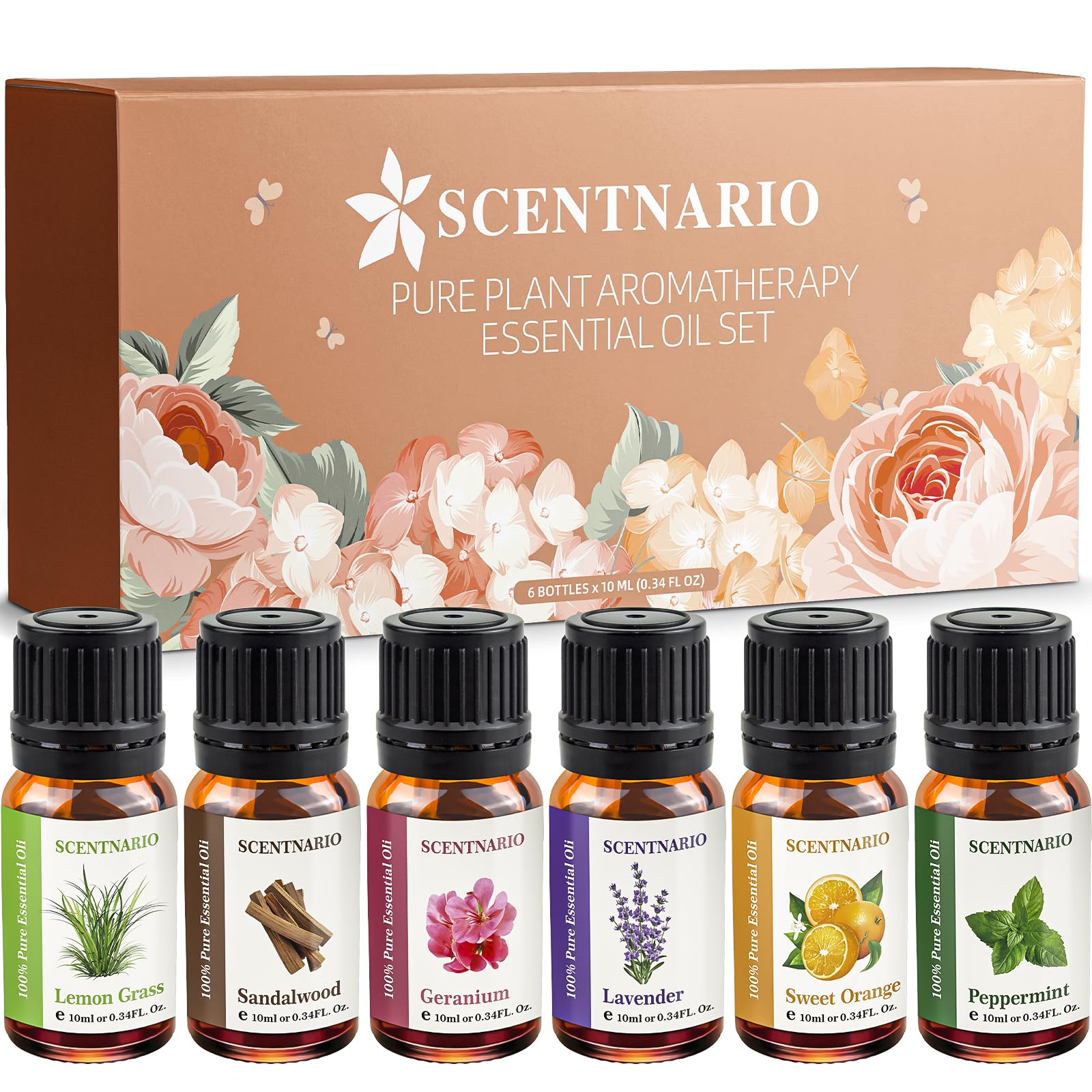 SCENTNARIO Essential Oils Set — 6 x 10ml Pure & Natural Gift Set