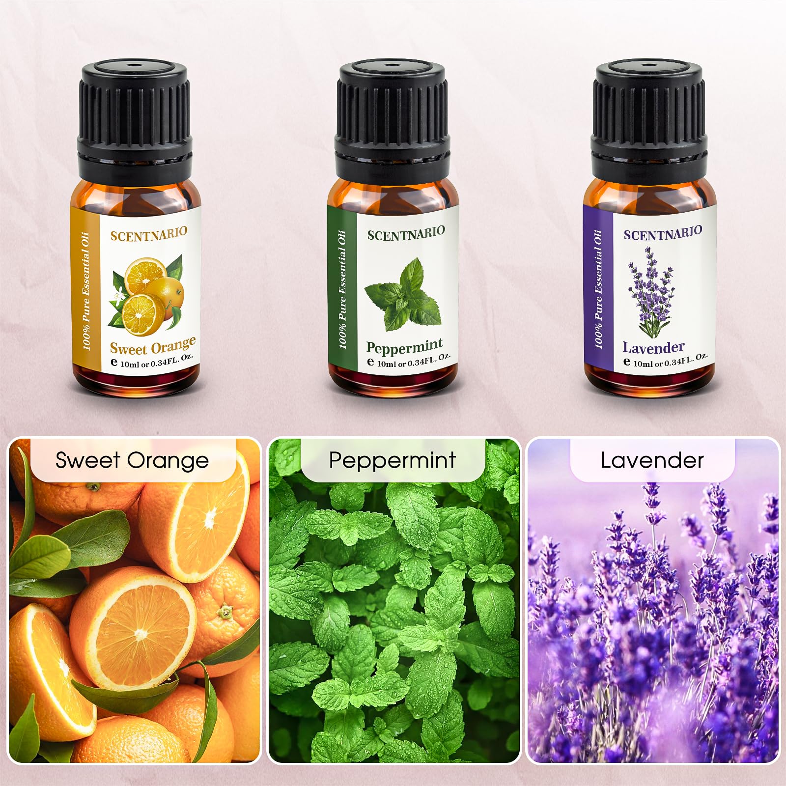 SCENTNARIO Essential Oils Set — 6 x 10ml Pure & Natural Gift Set